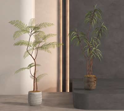  盆栽 盆景 绿植 植物3d模型 