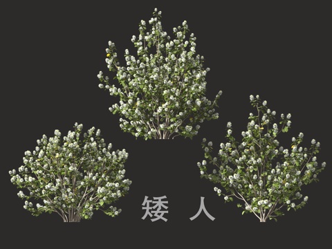  灌木花3d模型 