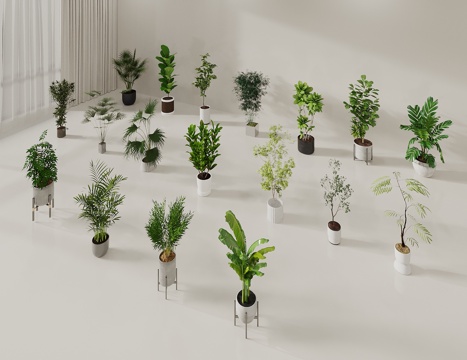  盆栽 绿植盆栽 植物盆景 植物组合 绿植摆件3d模型 