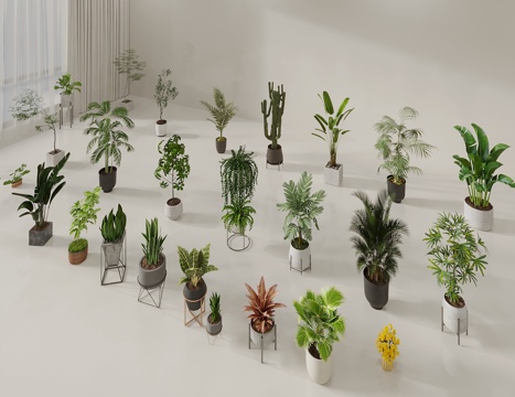  盆栽 绿植盆栽 植物盆景 植物组合 绿植摆件3d模型 