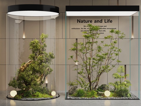  室内景观  景观造景  景观树  植物堆  植物景观  庭院3d模型 