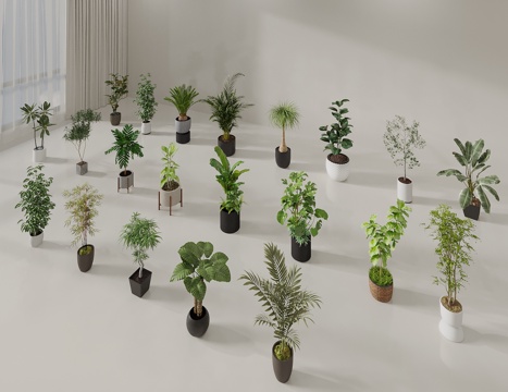  盆栽 绿植盆栽 植物盆景 植物组合 绿植摆件3d模型 