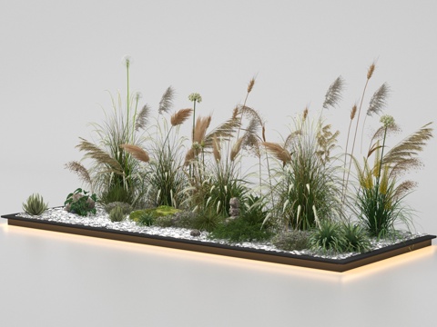  芦苇 植物造景 景观小品3d模型 