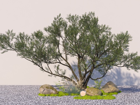  现代景观树木3d模型 