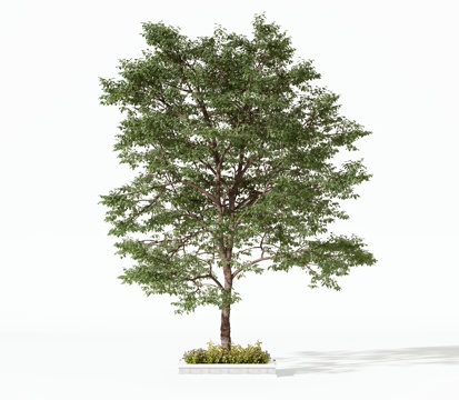 现代树木乔木灌木3d模型 