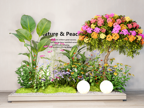  植物组合 花箱盆景 花箱 多色三角梅 绿植花草组团su模型 