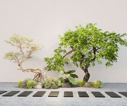  现代景观乔木 造型树 庭院树  绿植园林树su模型 