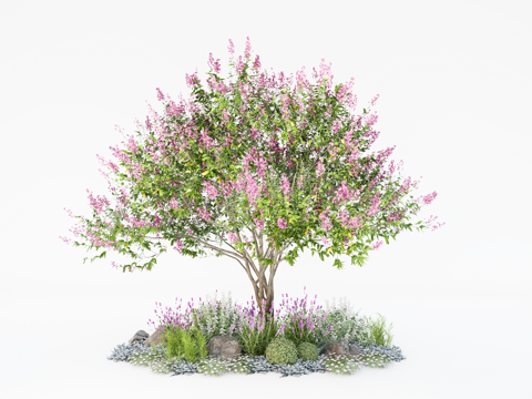  花卉花草 小叶紫薇花树 灌木花草 植物组合 植物堆草堆su模型 