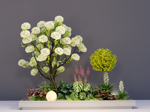  植物组合 花箱盆景 中华木绣球 花箱 绿植组团su模型 
