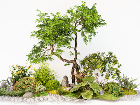  庭院植物组合 灌木绿植  造型树su模型 