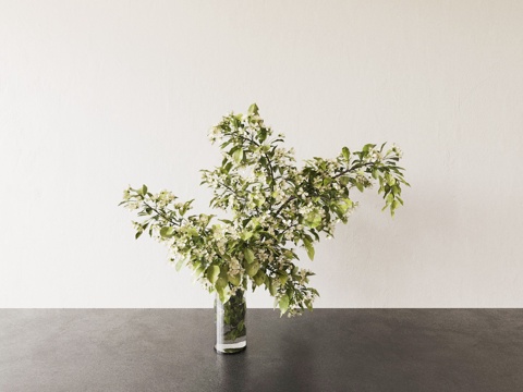  花瓶 花盆 植物 绿植3d模型 