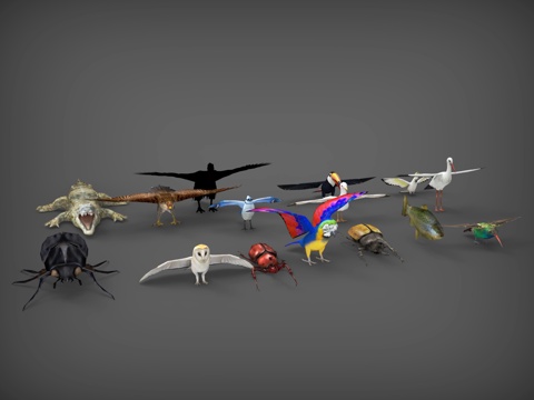  鸟  飞鸟  鳄鱼  鱼  鹤  爬虫  甲壳虫3d模型 
