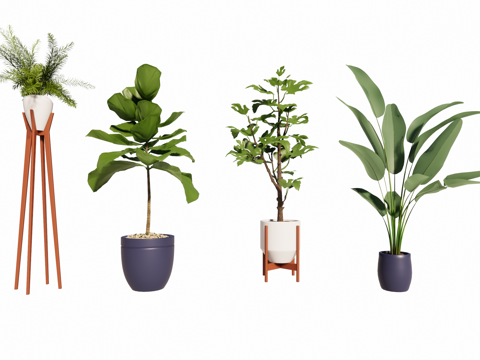  现代植物盆栽组合su模型 