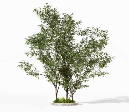 现代树木乔木灌木3d模型 