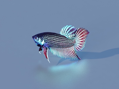  鱼 金鱼 淡水鱼 海鱼 动物 游戏动物3d模型 