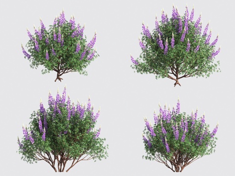  花草灌木3d模型 