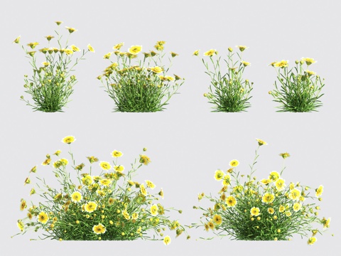  花草 灌木3d模型 