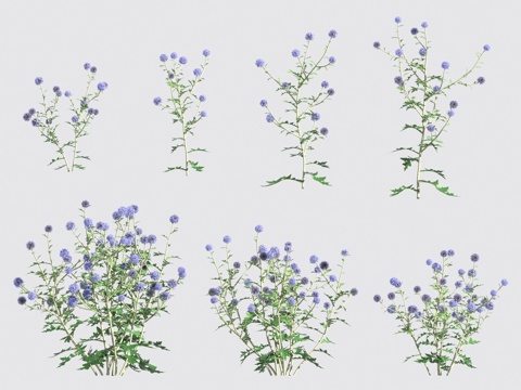  花草 灌木3d模型 