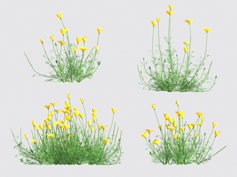  花草 灌木3d模型 