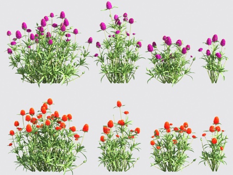  花草 灌木3d模型 