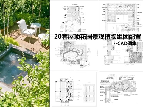  屋顶花园景观植物组团cad施工图 