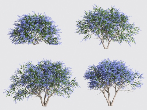  花草灌木3d模型 
