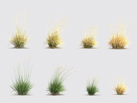  花草灌木3d模型 