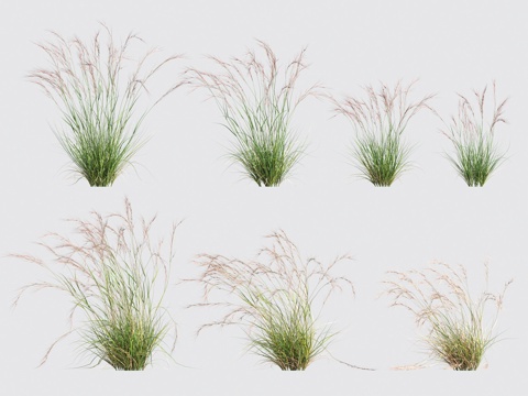  花草灌木3d模型 