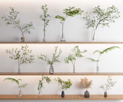  玻璃花瓶 水培植物3d模型 