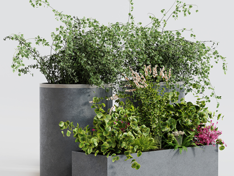  现代绿植盆栽 盆景3d模型 