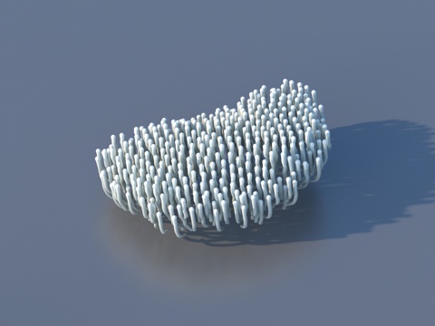  珊瑚 水生植物 海底世界3d模型 