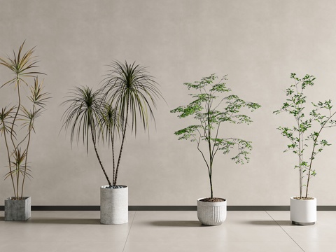  盆栽 绿植 植物 盆栽 绿植摆件 植物盆栽su模型 