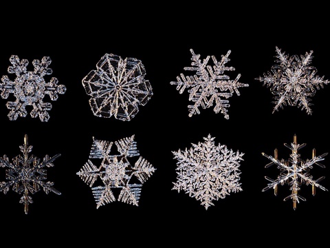  雪花3d模型 