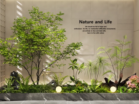  现代室内景观 景观造景 景观树 植物景观 庭院景观3d模型 