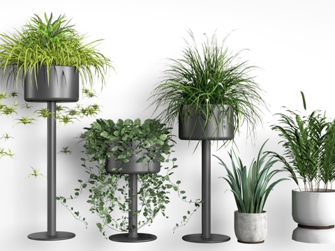  现代花盆 盆栽植物 花卉摆件 绿植su模型 
