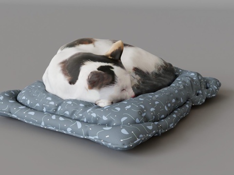  现代简约猫 宠物 奶牛猫3d模型 