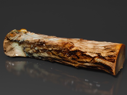  木雕根雕 卡通树木 雕刻雕塑 禅意艺术品 树根树干 枯木老木3d模型 