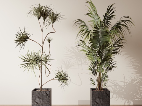  盆栽绿植su模型 
