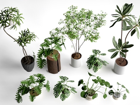  现代花盆 盆栽植物 花卉摆件 绿植su模型 