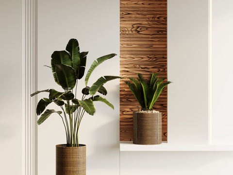  绿植 现代绿植 盆栽盆景 树 植物su模型 