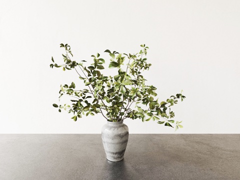  植物 盆栽 花盆 绿植3d模型 