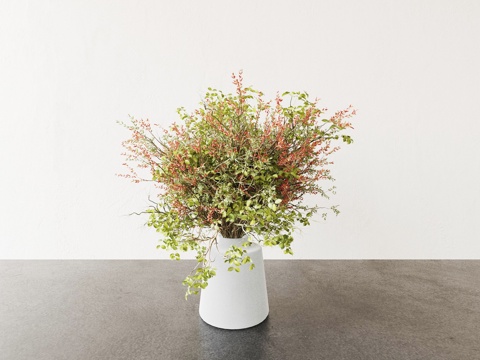 植物 盆栽 花盆 绿植3d模型 