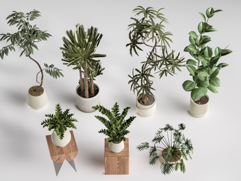  现代花盆 盆栽植物 花卉摆件 绿植su模型 