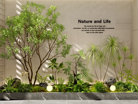  现代室内景观 景观造景 景观树 庭院景观 植物造景 植物堆3d模型 