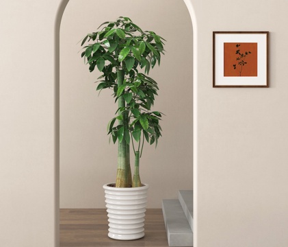  盆栽 盆景 绿植 植物su模型 