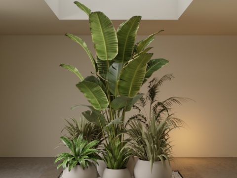  现代植物盆栽组合su模型 