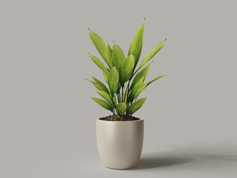  现代花盆发财树盆栽3d模型 