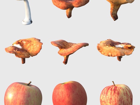 食物苹果蔬菜蘑菇菇类香菇3d模型 