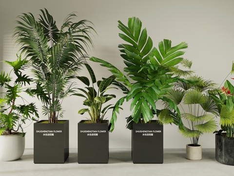 盆栽 盆栽植物 植物组合 落地盆栽植物 绿植植物摆件 花箱su模型 