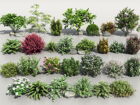 现代花卉灌木组合3d模型 